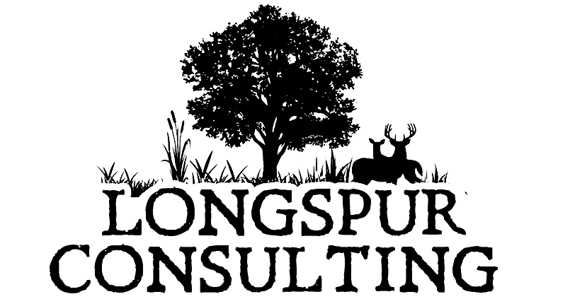 Longspur Consulting